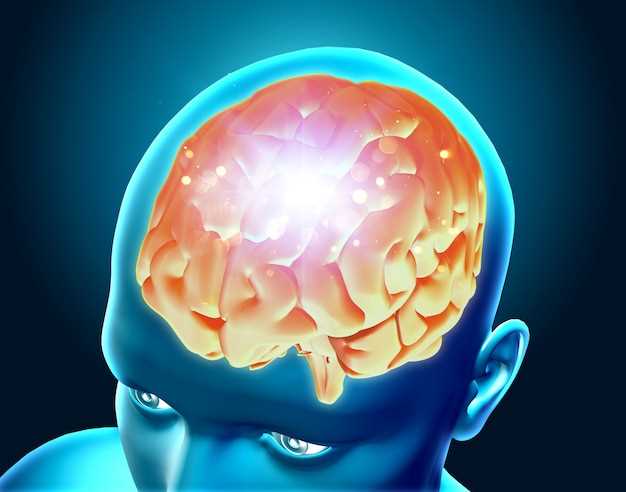 Функции мозжечка в головном мозге у человека