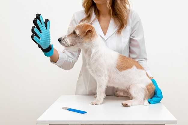 Какие показатели анализа свободной крови могут указывать на проблемы со здоровьем собаки?